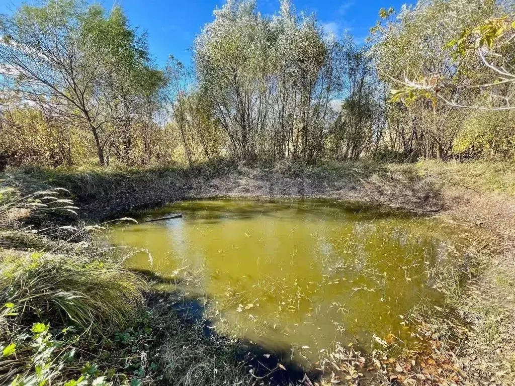 Дом в Белгородская область, Новооскольский муниципальный округ, с. ... - Фото 1