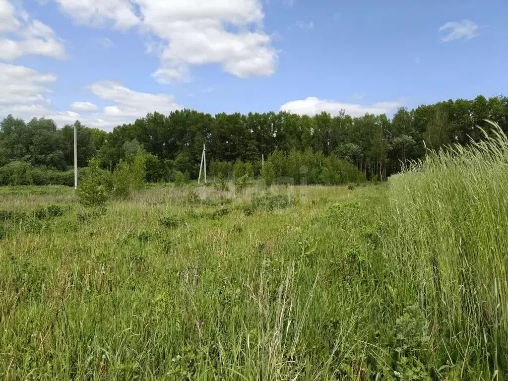 Участок в Владимирская область, Муром с. Ковардицы, ул. 75 лет Победы ... - Фото 1