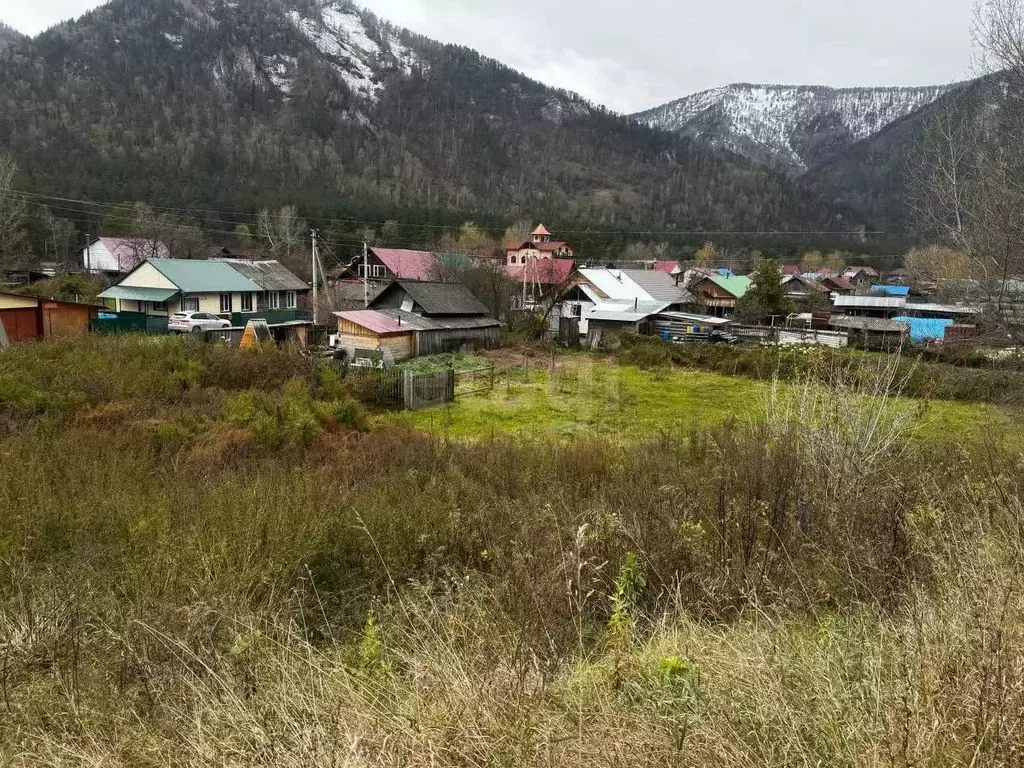 Участок в Алтай, Майминский район, с. Усть-Муны Березовая ул. (16.0 ... - Фото 1