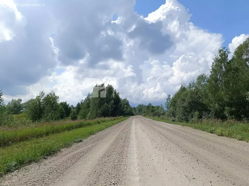 Участок в Колыванский район, село Скала (3745.2 м) - Фото 1