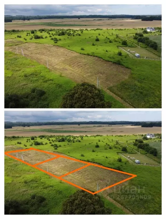 Участок в Калининградская область, Зеленоградский муниципальный округ, ... - Фото 2