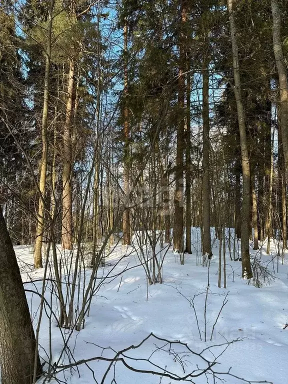 Купить Участок В Звенигороде Одинцовского