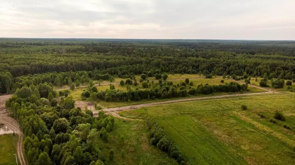 Участок в Брянская область, Жуковский муниципальный округ, село ... - Фото 1
