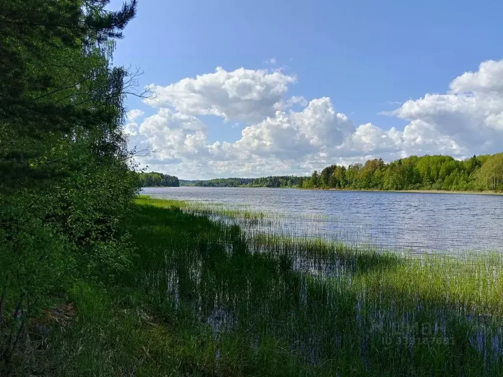 Участок в Ленинградская область, Приозерский район, Мельниковское ... - Фото 1