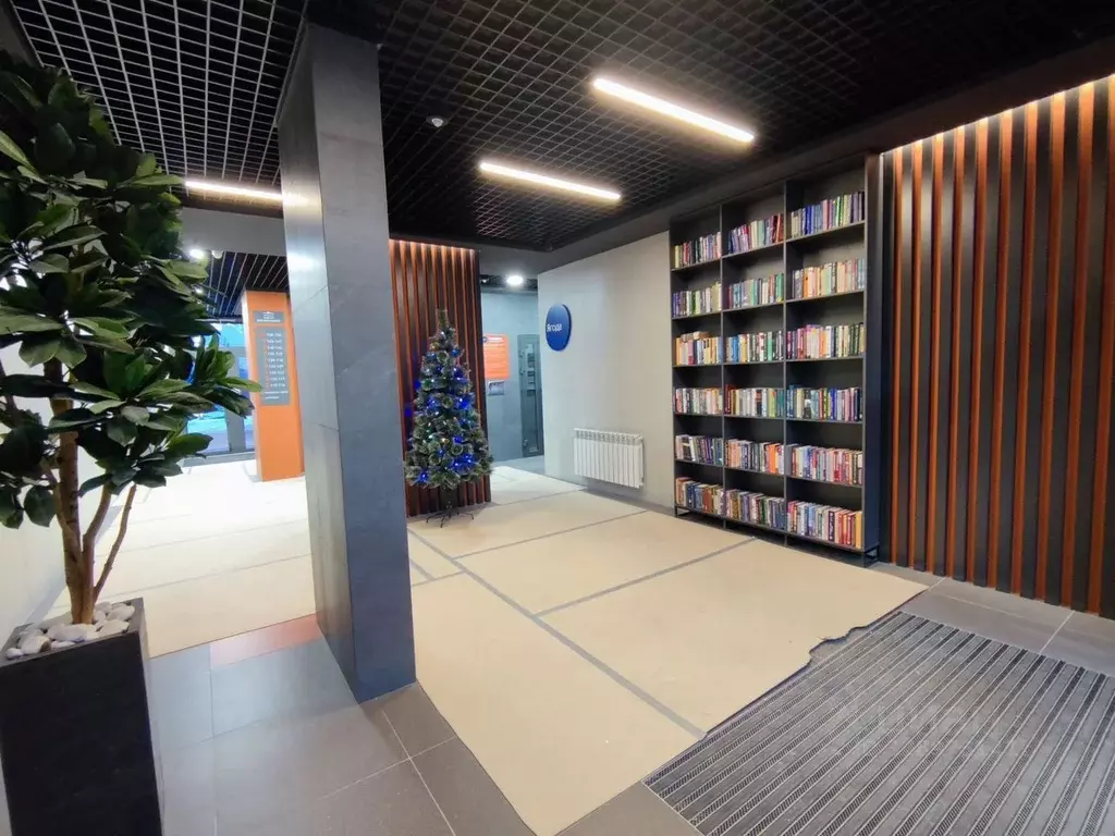 Студия Брянская область, Брянск Советская ул., 122 (26.0 м) - Фото 2