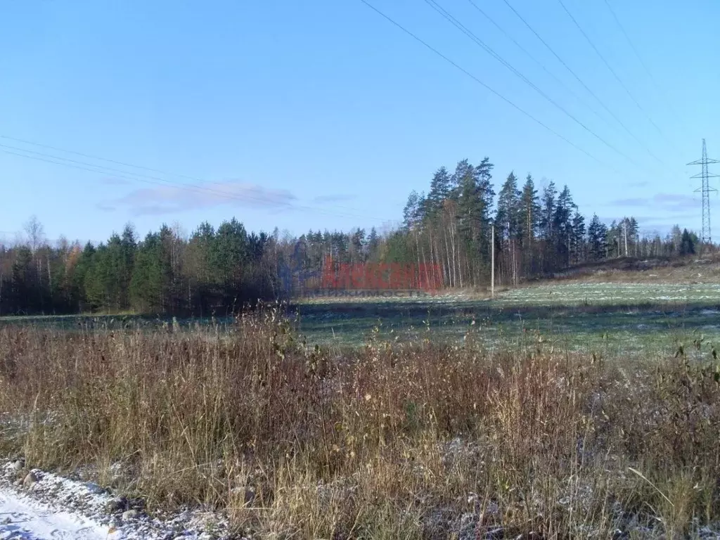 Участок в Ленинградская область, Выборгский район, Каменногорское ... - Фото 1