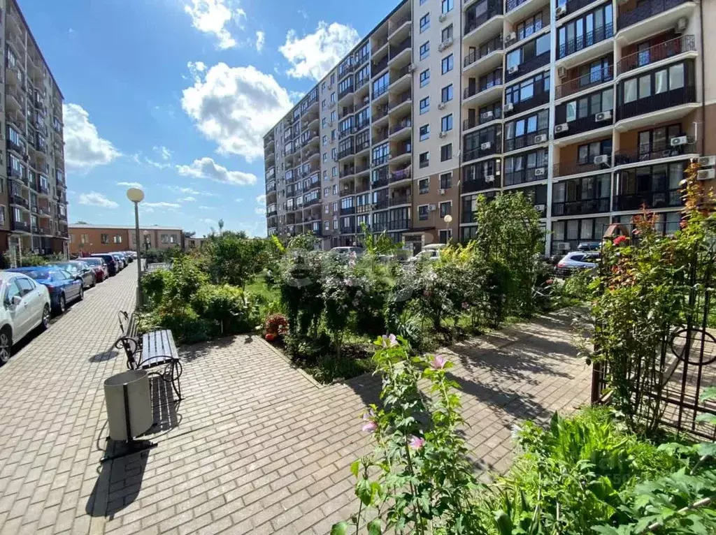 Помещение свободного назначения в Краснодарский край, Анапа Таманская ... - Фото 1