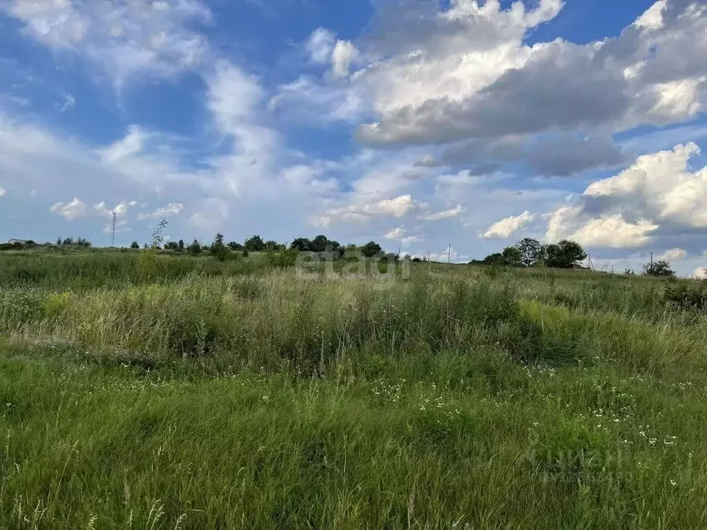 Участок в Воронежская область, Хохольский район, с. Гремячье ... - Фото 1