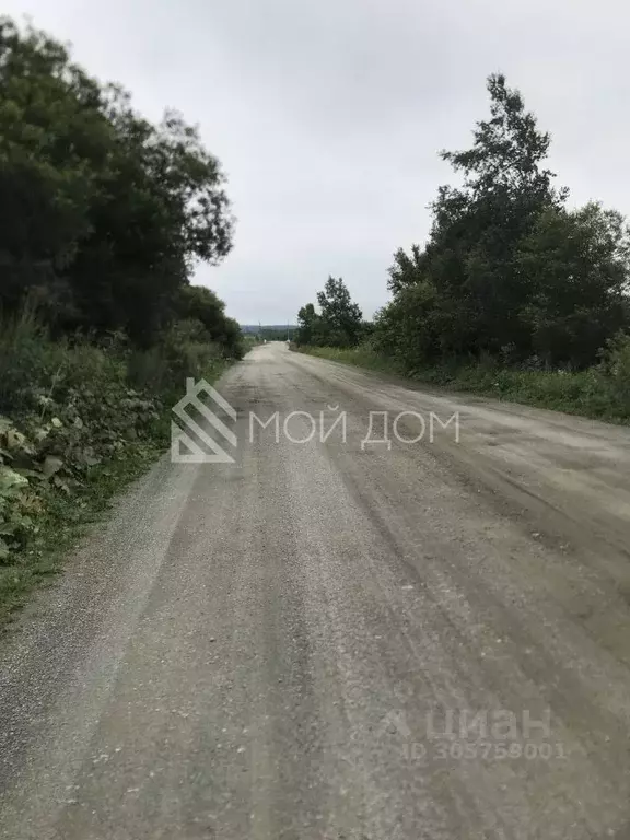 Участок в Сахалинская область, Анивский городской округ, с. Мицулевка  ... - Фото 0