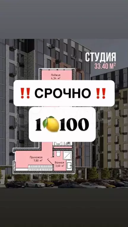 Квартира-студия, 33 м, 3/14 эт. - Фото 0