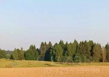 Участок в Московская область, Рузский муниципальный округ, д. Федчино ... - Фото 2