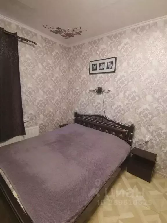 Студия Ставропольский край, Кисловодск пер. Яновского, 2 (23.0 м) - Фото 1