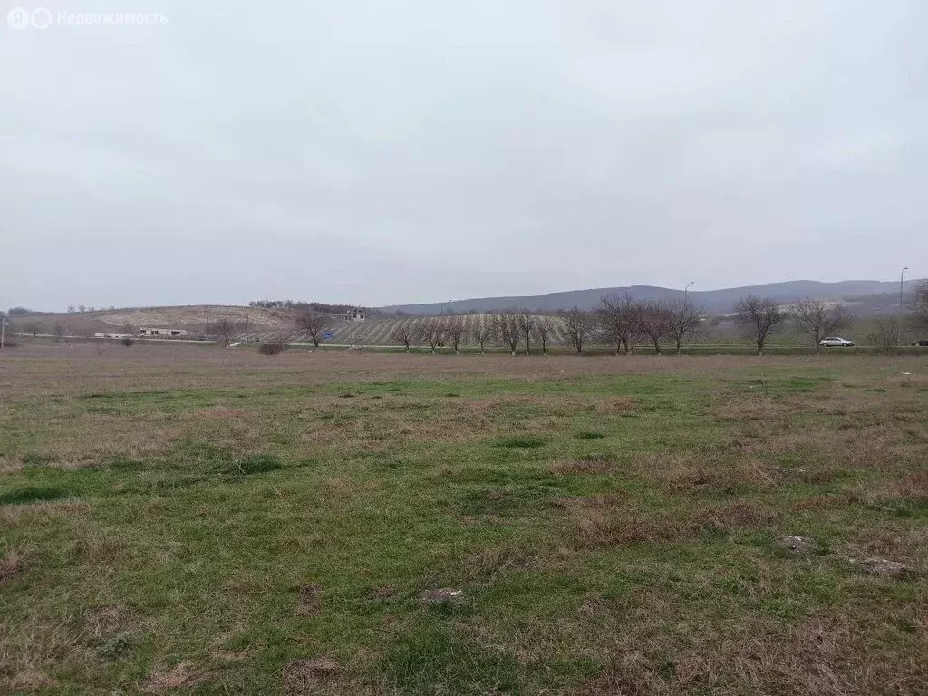 Участок в Краснодарский край, городской округ Новороссийск, хутор ... - Фото 2