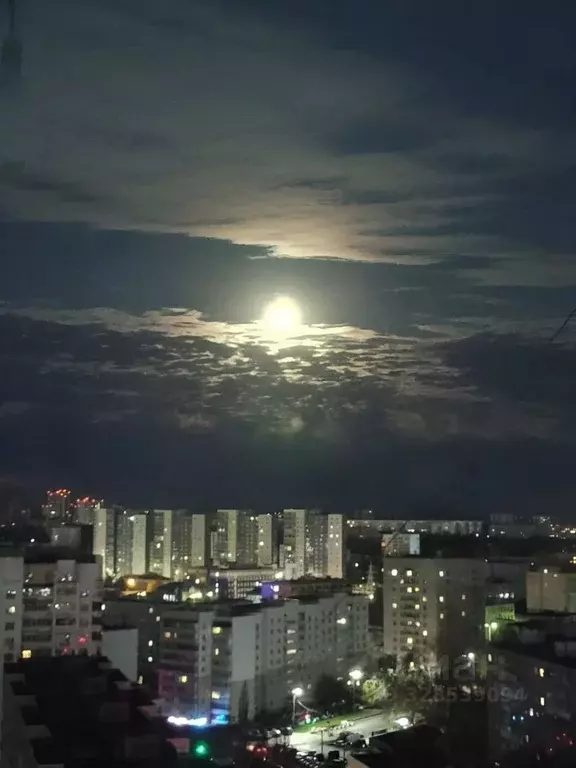 2-к кв. Башкортостан, Уфа ул. Энтузиастов, 10 (63.0 м) - Фото 1