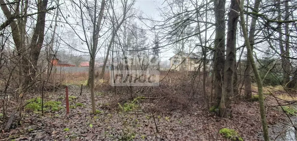 Участок в Московская область, Одинцовский городской округ, д. Хлюпино  ... - Фото 2