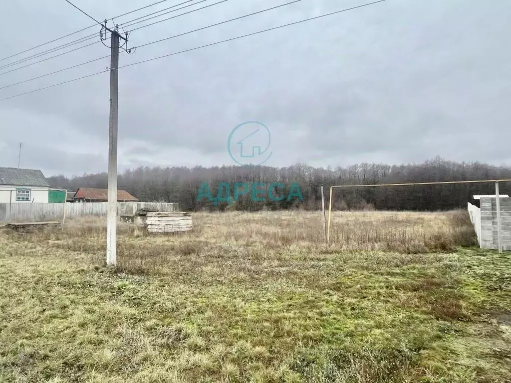 Участок в Белгородская область, Поселок Чернянка городское поселение, ... - Фото 2