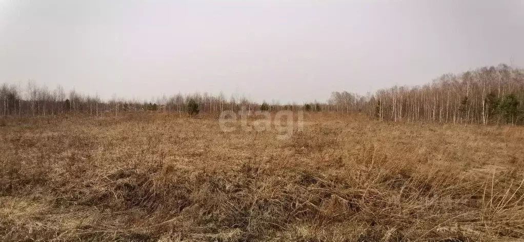 Участок в Новосибирская область, Мошковский район, Индия кп  (130.0 ... - Фото 1