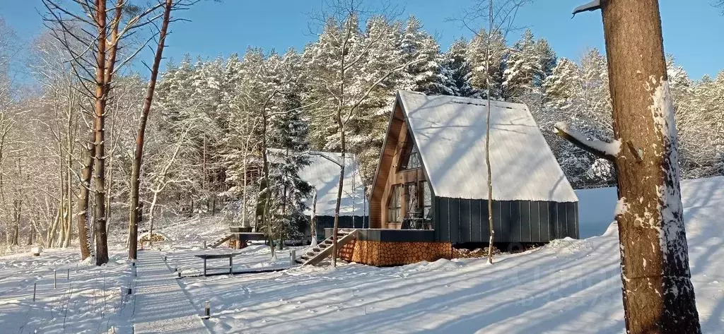 Дом в Псковская область, Невельский муниципальный округ, д. Колки 16А ... - Фото 2