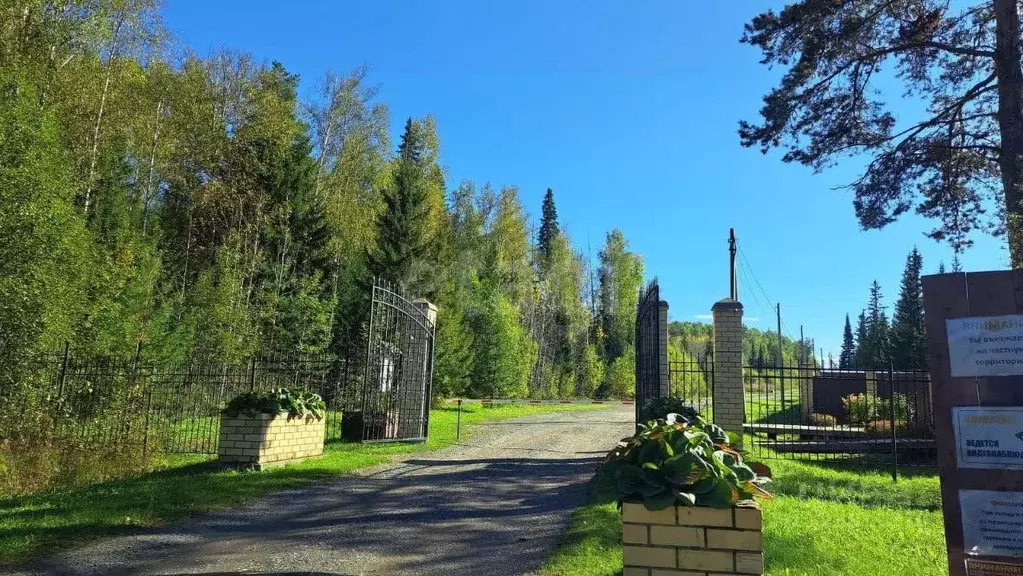 Участок в Свердловская область, Нижнесергинский район, Дружининское ... - Фото 2