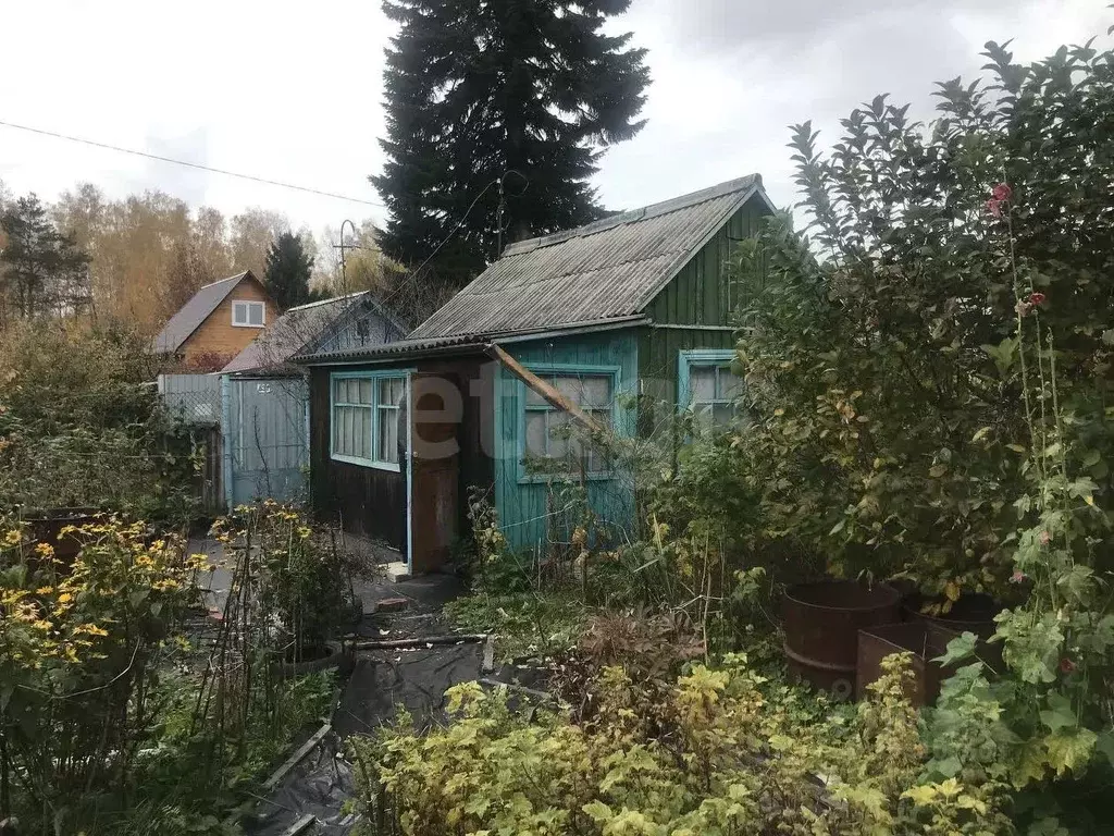 Участок в Тюменская область, Тюмень Дружба СНТ, ул. Судостроителей, ... - Фото 2