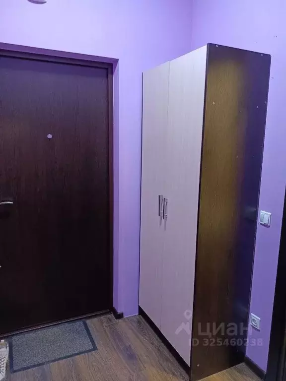 Студия Санкт-Петербург просп. Ветеранов, 171к5 (24.5 м) - Фото 2