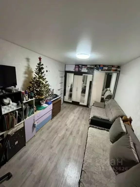 1-к кв. Адыгея, Майкоп ул. Чкалова, 77 (29.9 м) - Фото 1