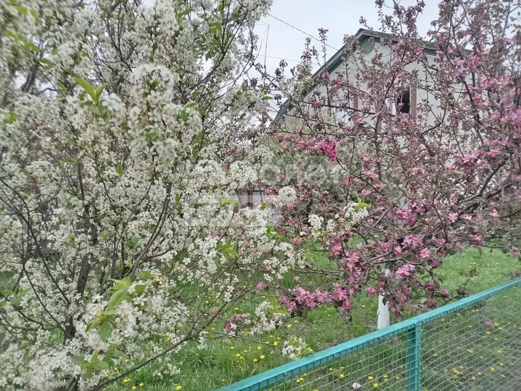 Дом в Ульяновская область, Ульяновский район, Ишеевское городское ... - Фото 0