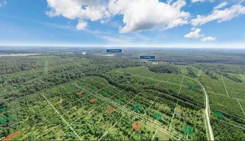 Участок в Тверская область, Ржевский муниципальный округ, д. ... - Фото 1