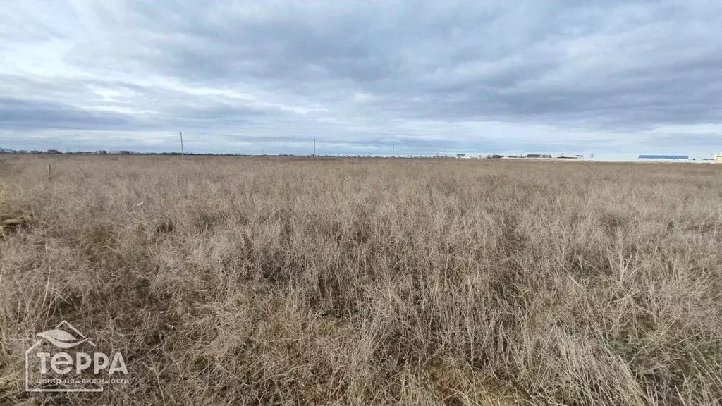 Участок в Крым, Евпатория городской округ, Новоозерное пгт пл. ... - Фото 0