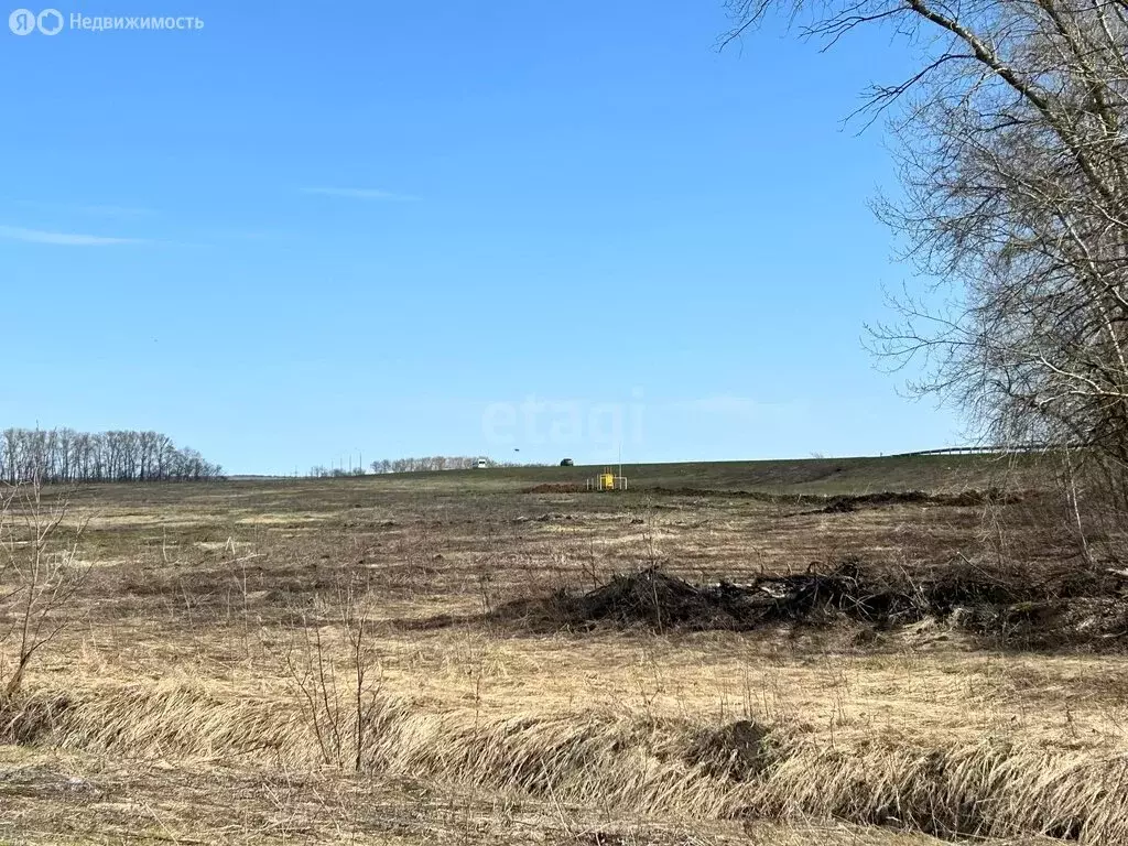 Участок в Лямбирский район, село Берсеневка (10 м) - Фото 1