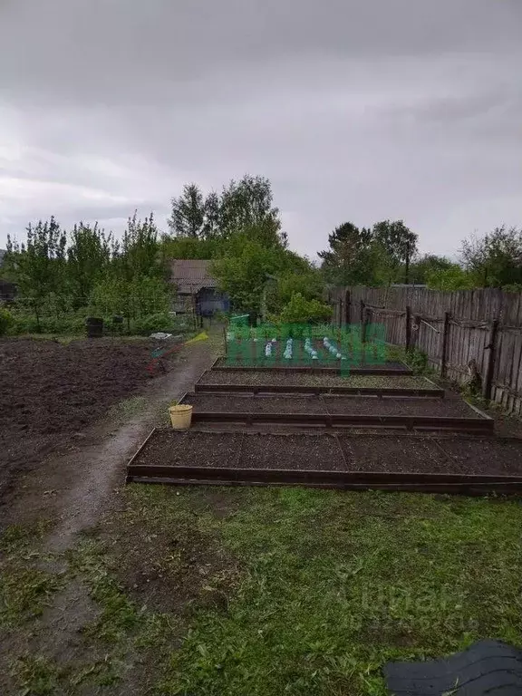 Участок в Забайкальский край, Чита Березка садовое товарищество, 361 ... - Фото 2