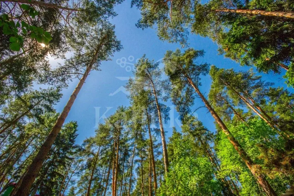 Участок в Московская область, Звенигород Одинцовский городской округ, ... - Фото 1