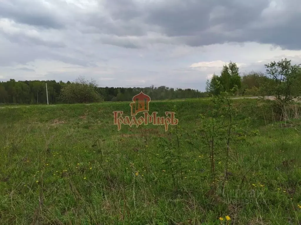 Участок в Московская область, Сергиево-Посадский городской округ, д. ... - Фото 2