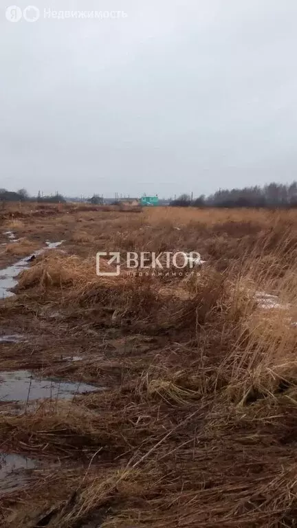 Участок в Кострома, Ситцевый проезд (11.7 м) - Фото 0
