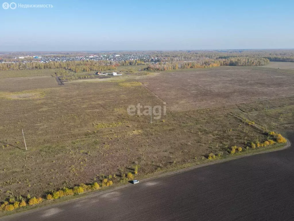 Участок в Тюменский район, СНТ Москвичка, Сосновая улица (12.7 м) - Фото 1