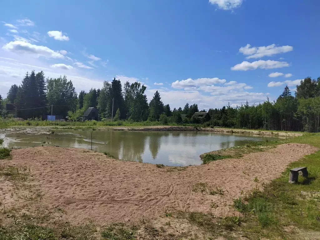 Участок в Ленинградская область, Волховский район, Кисельнинское ... - Фото 1