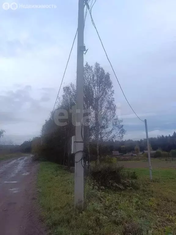 Участок в Ярославский муниципальный округ, деревня Новая (14 м) - Фото 2