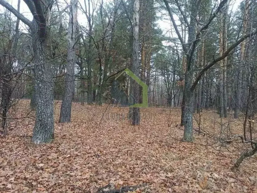 Участок в Самарская область, Сызранский район, с. Рамено Советская ... - Фото 1