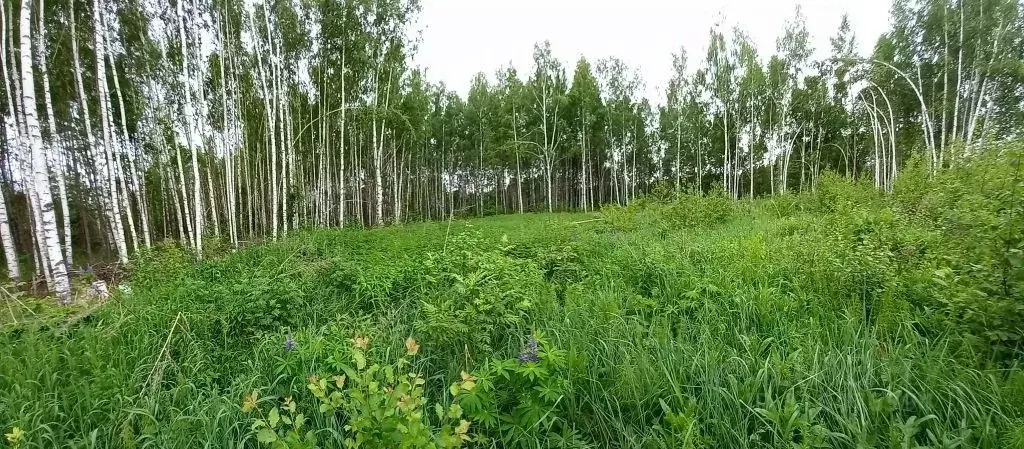 Участок в Нижегородская область, Дальнеконстантиновский муниципальный ... - Фото 2