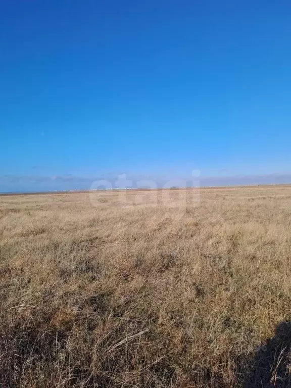 Участок в Крым, Сакский район, Молочненское с/пос 2-я линия (6.0 сот.) - Фото 0