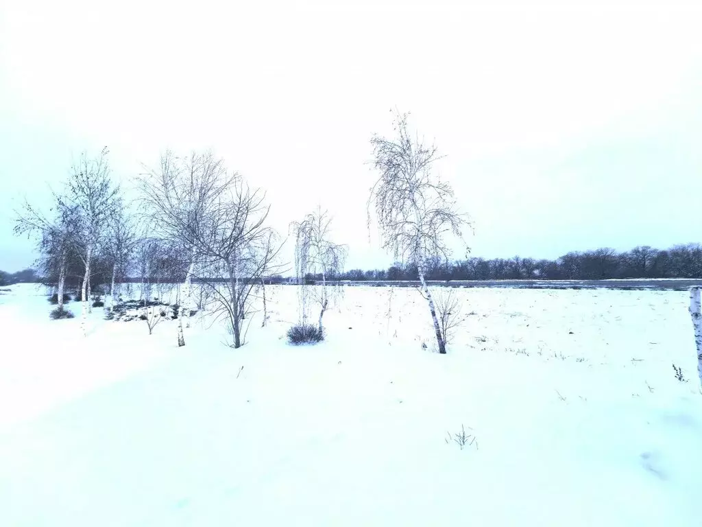 Участок в Ахтубинское сельское поселение, хутор Тутов, Раздольная ... - Фото 1