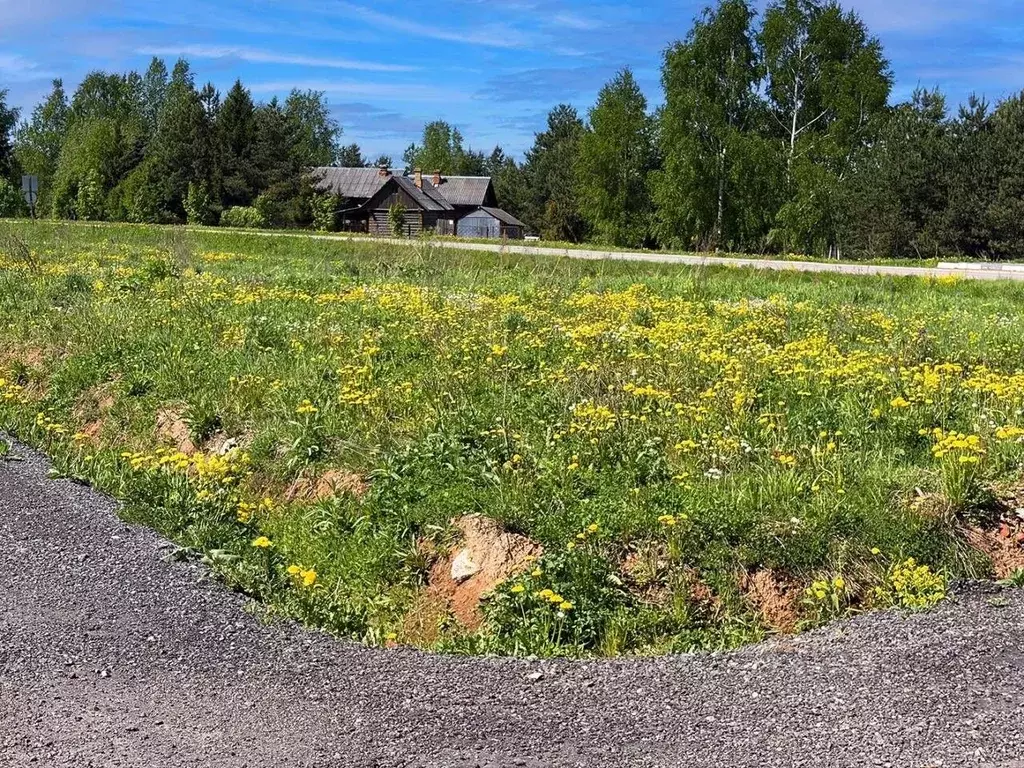 Участок в Московская область, Клин городской округ, Коськово кп 27 ... - Фото 1
