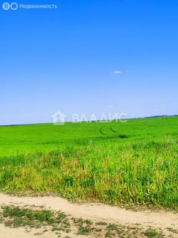 Участок в Вологодский муниципальный округ, посёлок Харачево, ... - Фото 1