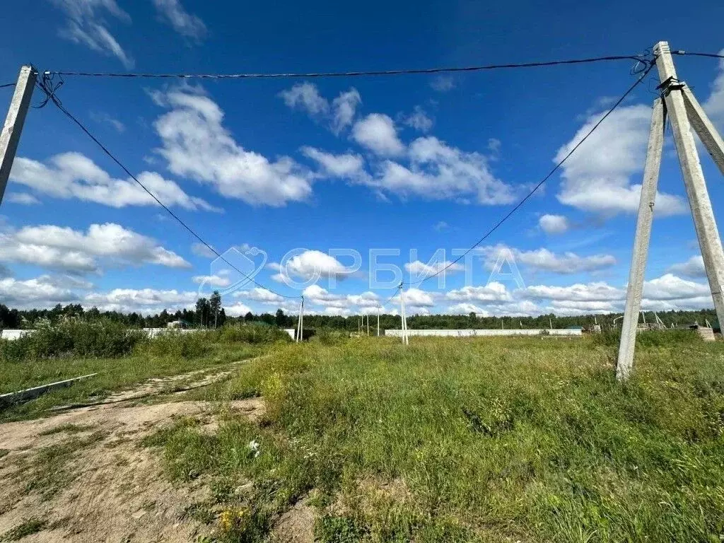 Участок в Тюменская область, Нижнетавдинский муниципальный округ, ... - Фото 1