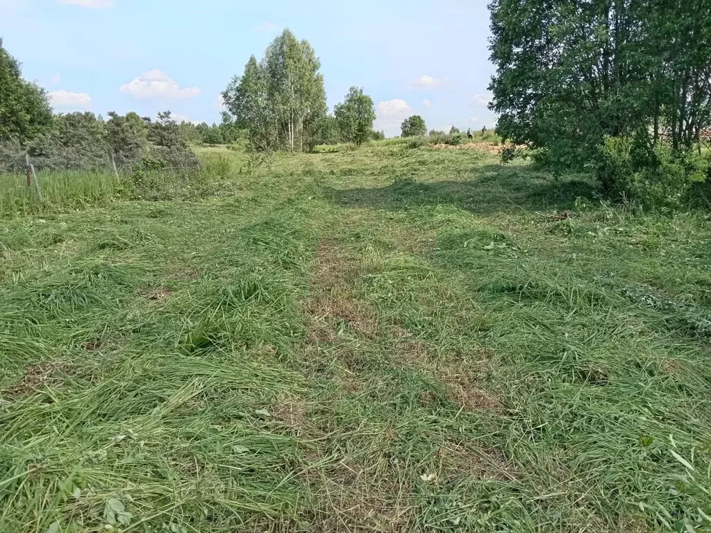 Участок в Владимирская область, Александровский район, ... - Фото 1