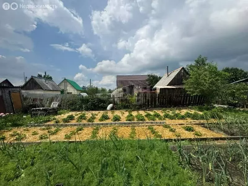 Участок в Тюмень, СНТ Плодовое, Черёмуховая улица (4 м) - Фото 2