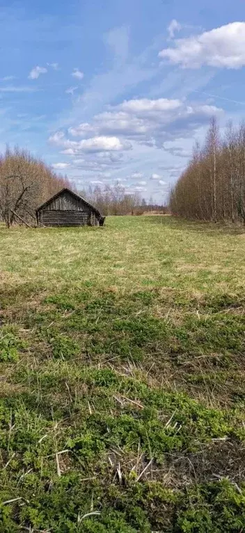 Дом в Тверская область, Селижаровский муниципальный округ, д. ... - Фото 1