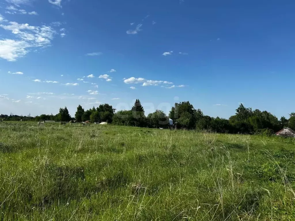 Участок в Брянская область, Брянский район, Мичуринское с/пос, д. ... - Фото 1