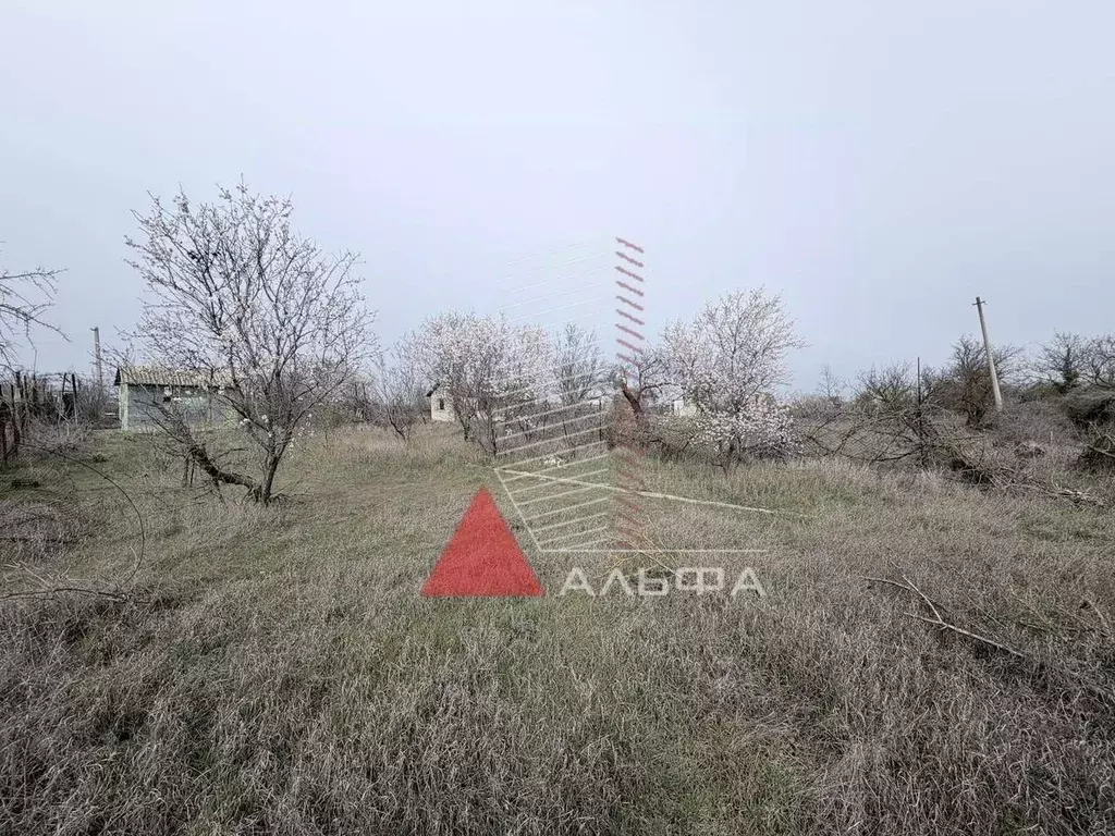 Участок в Крым, Саки Энергетик СНТ,  (6.0 сот.) - Фото 2