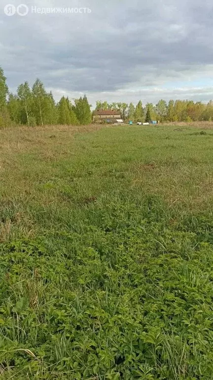 Участок в городской округ Нижний Новгород, деревня Новопавловка (21 м) - Фото 1